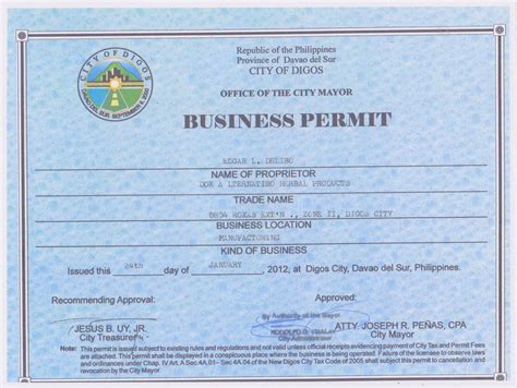 san carlos business license application.